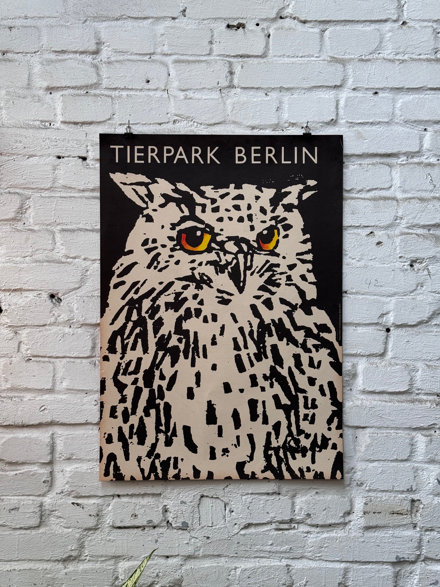 Tierparkposter Eule | 1977