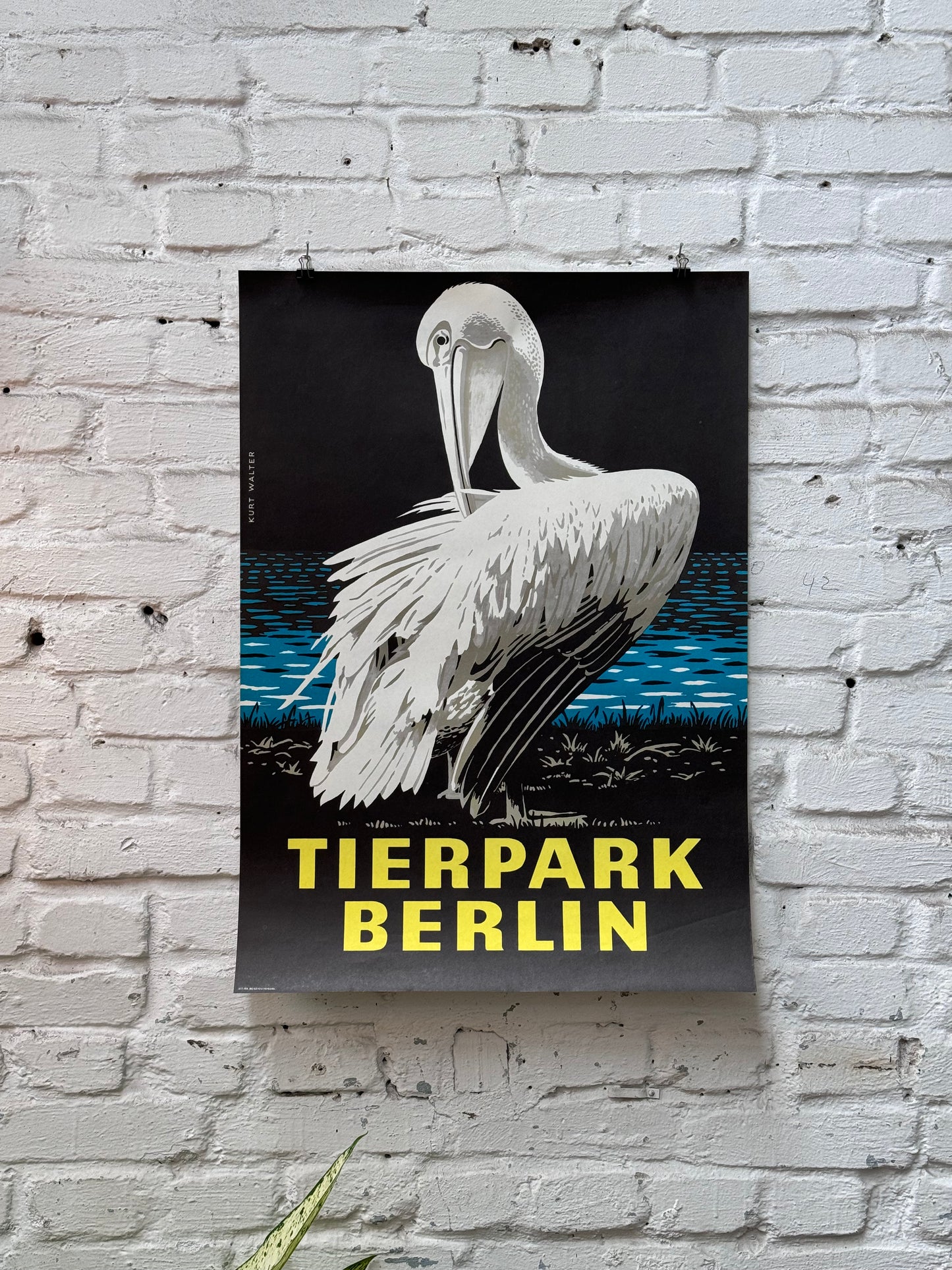 Tierparkposter Pelikan | 1978