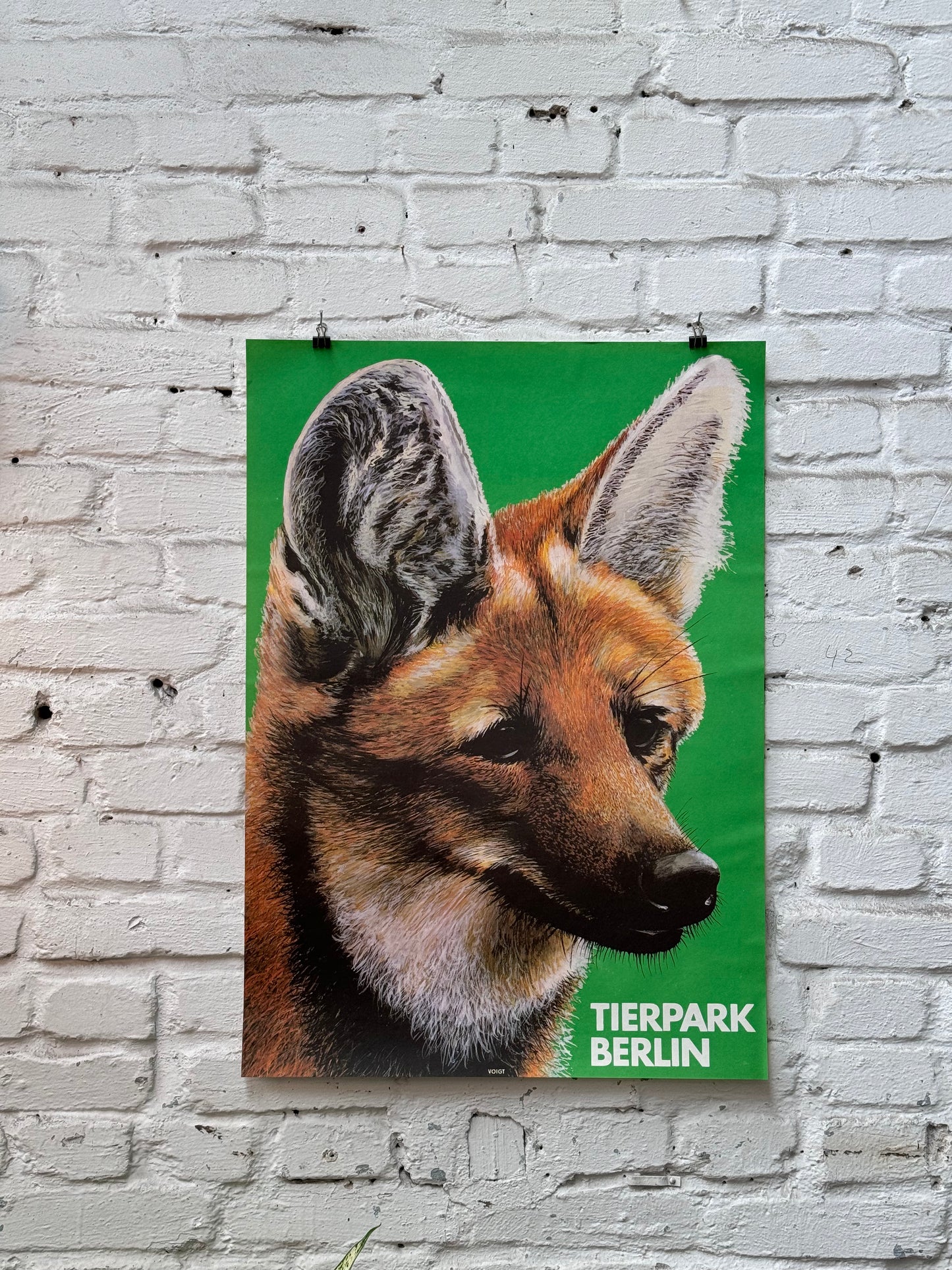 Tierparkposter Mähnenwolf | 1986