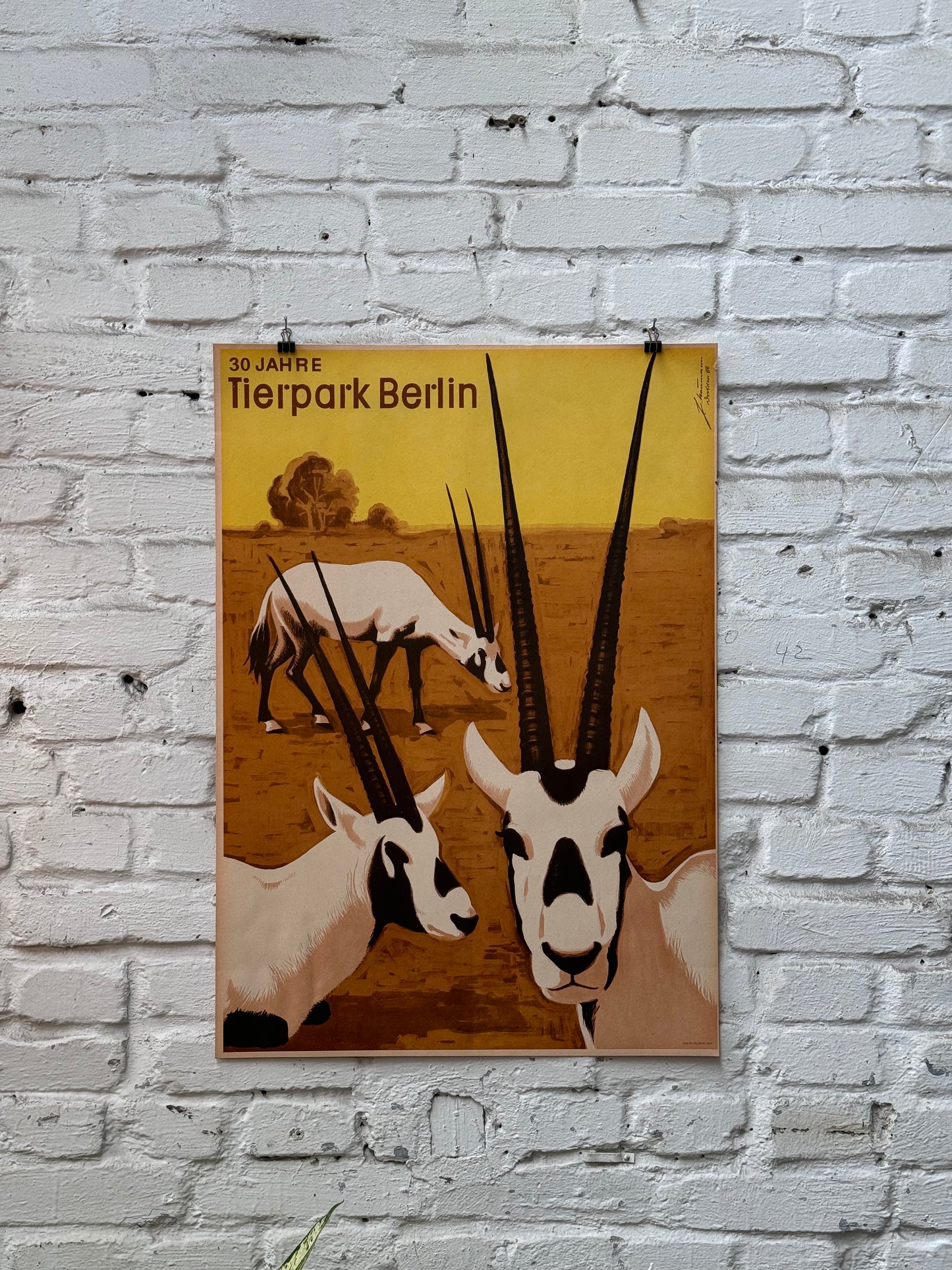 Tierparkposter Antilope | 1984