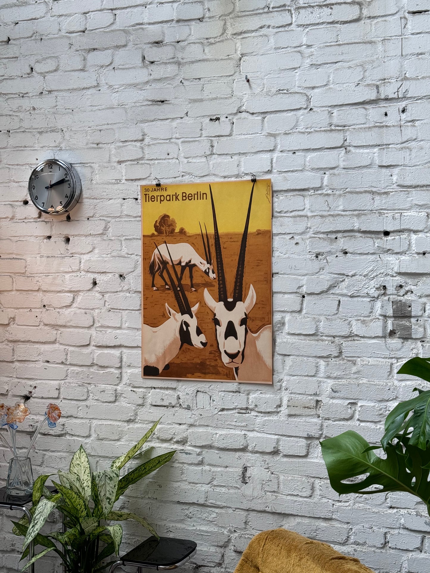 Tierparkposter Antilope | 1984