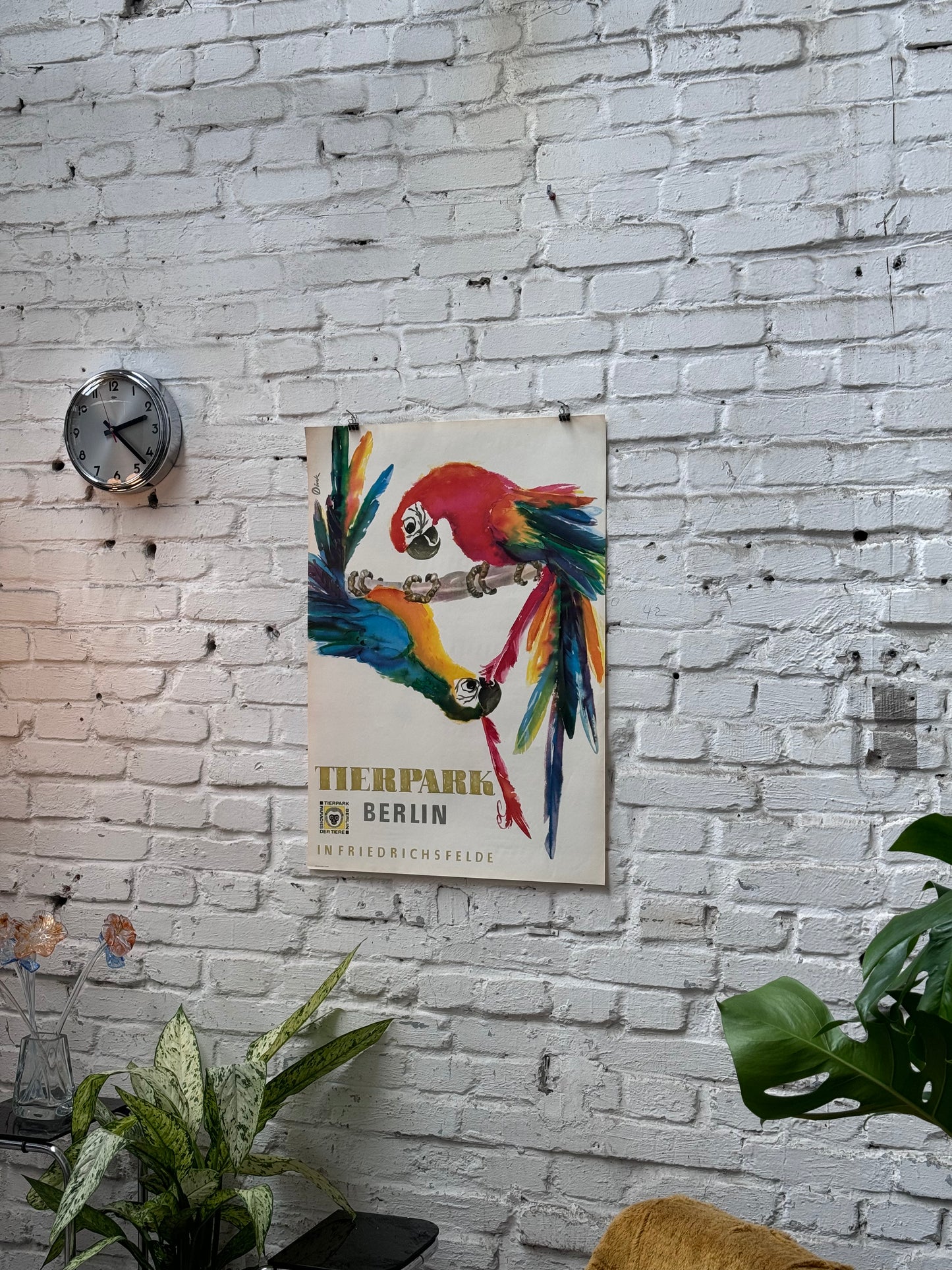 Tierparkposter Papagei | 1956