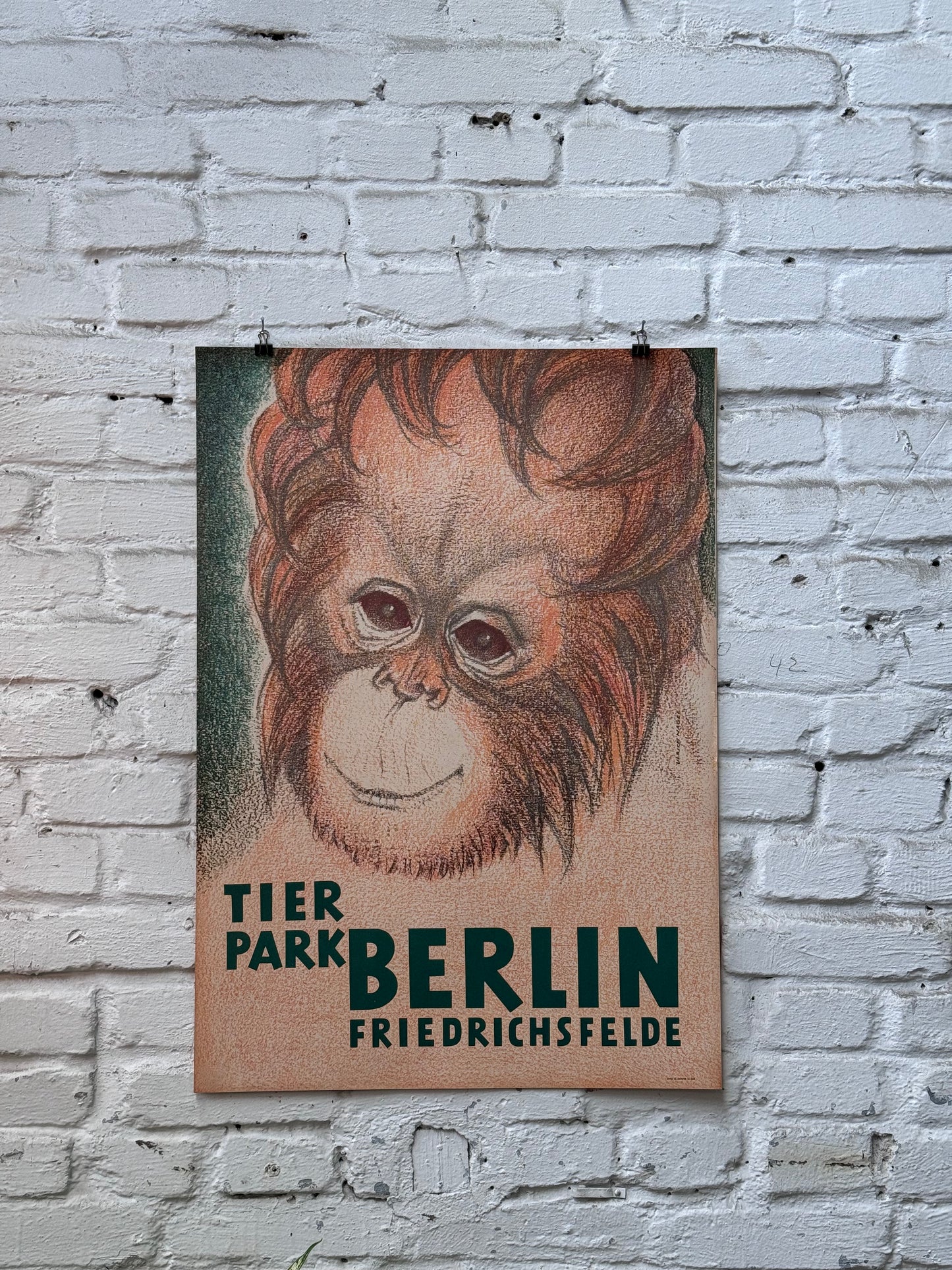 Tierparkposter Orang Utan Baby | 1967