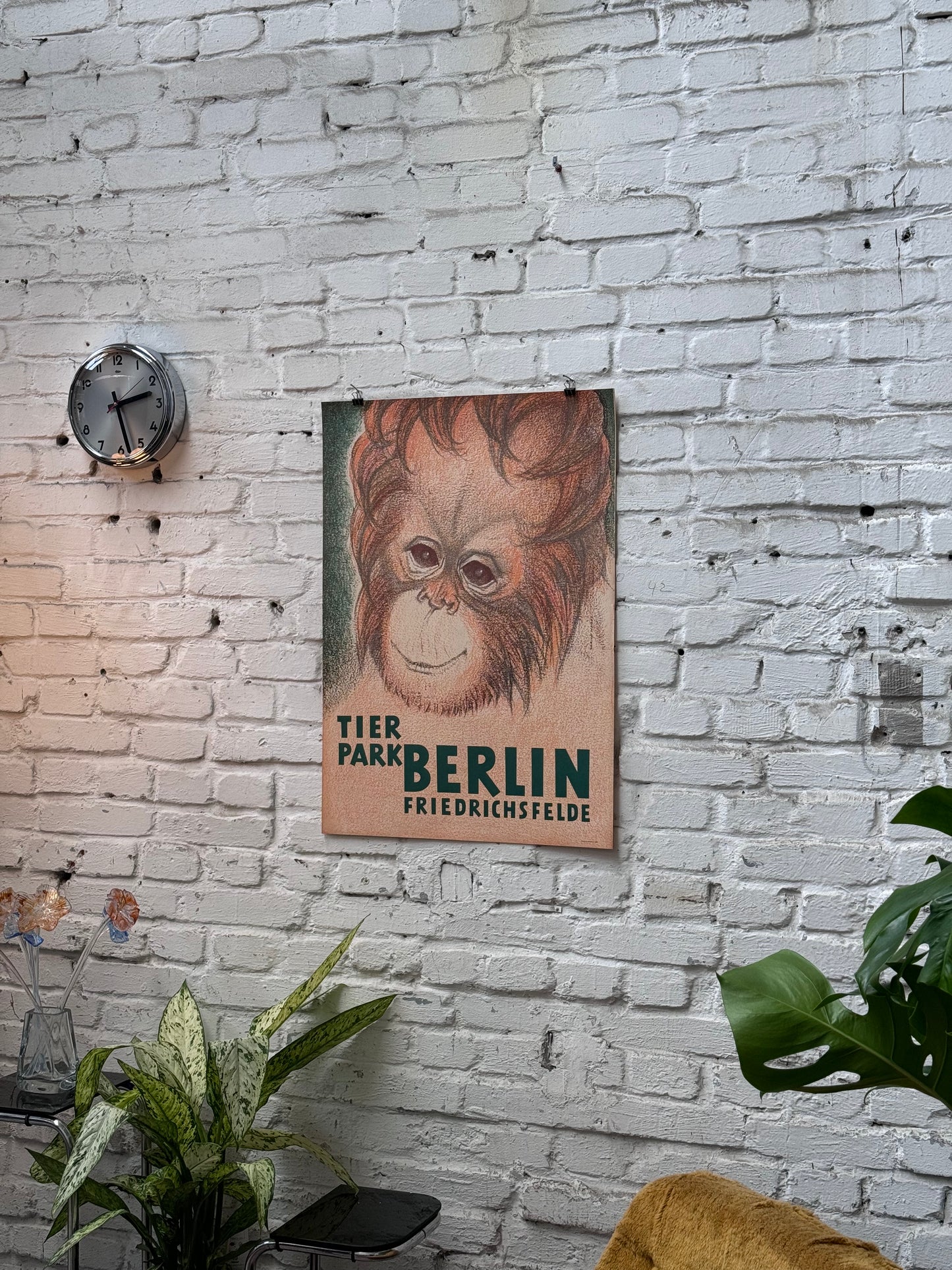 Tierparkposter Orang Utan Baby | 1967