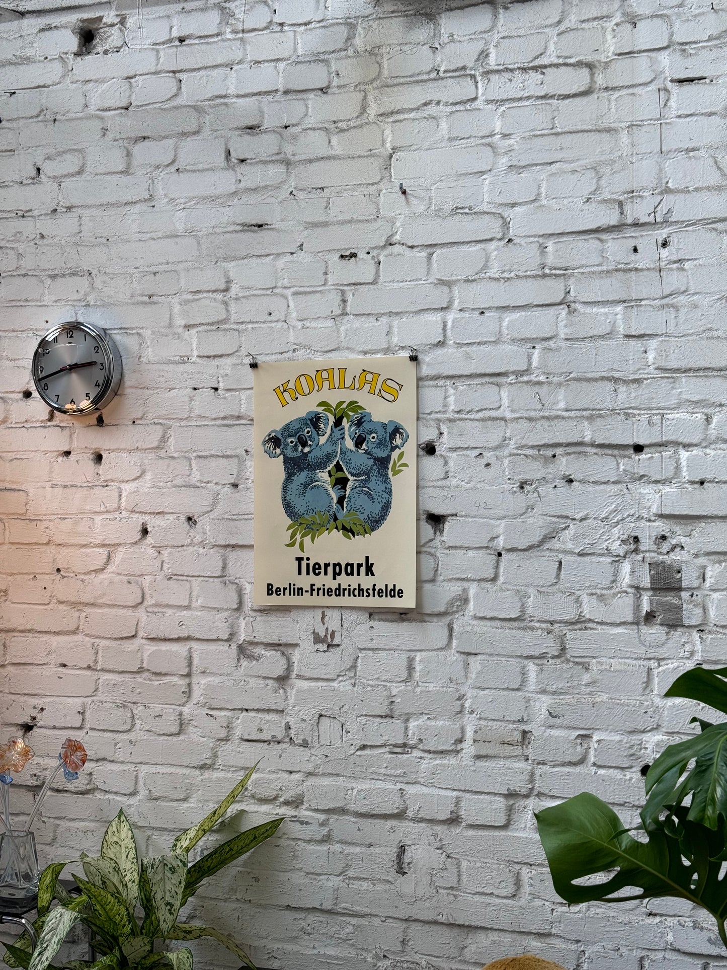 Tierparkposter Koalas | ca. 1990