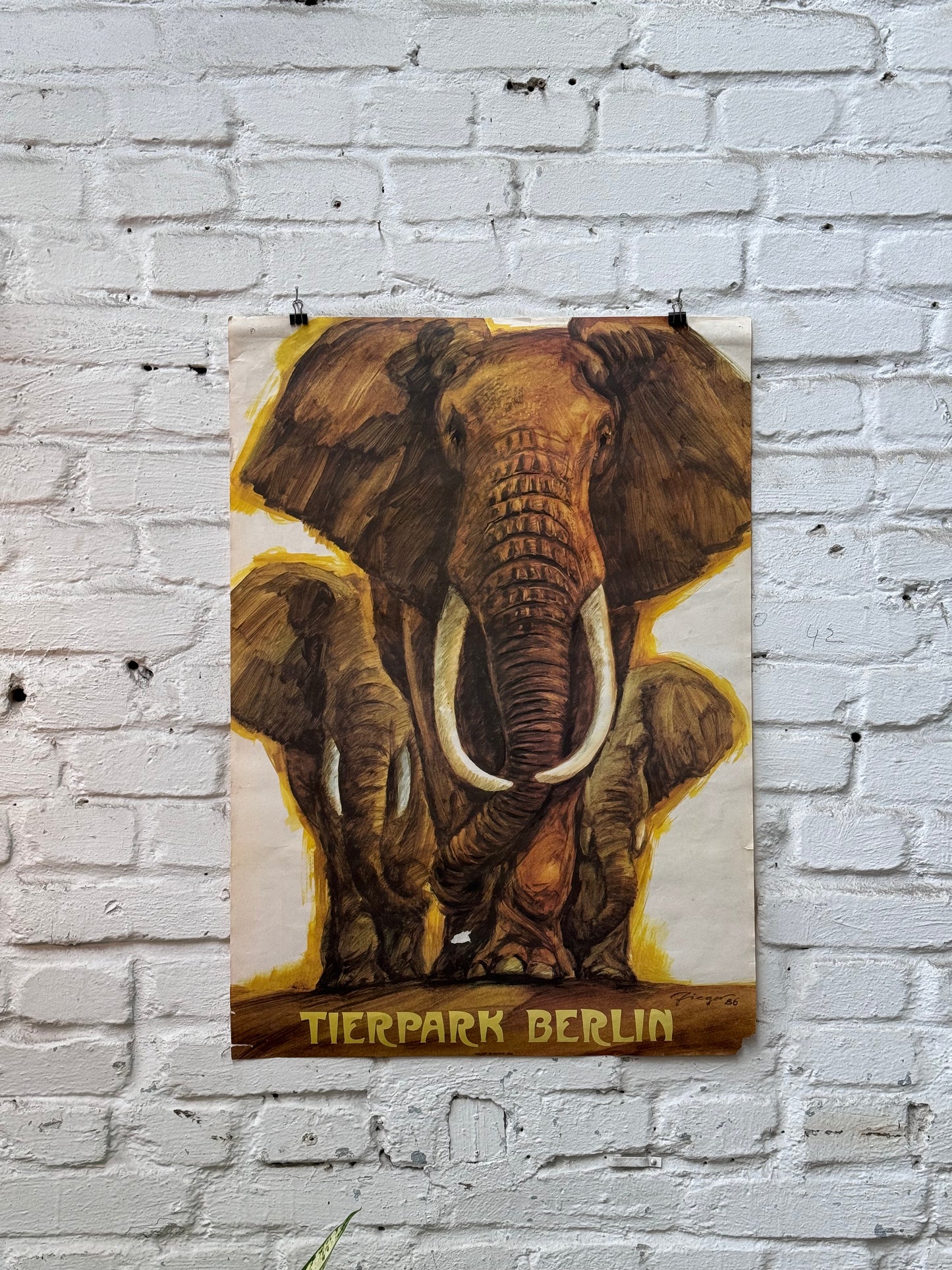 Tierparkposter Elefanten | 1986