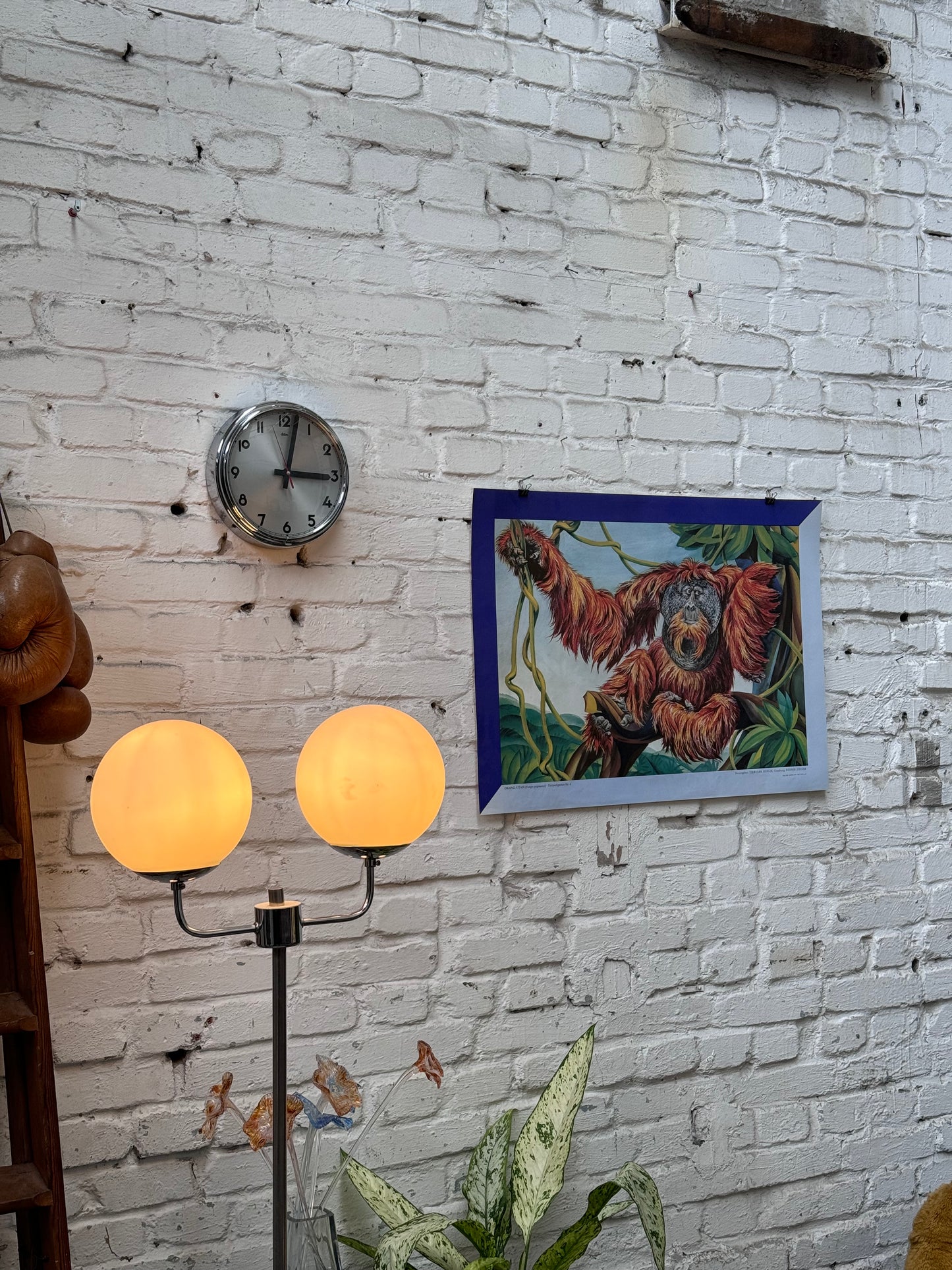 Tierparkposter Orang Utan | ca. 1980
