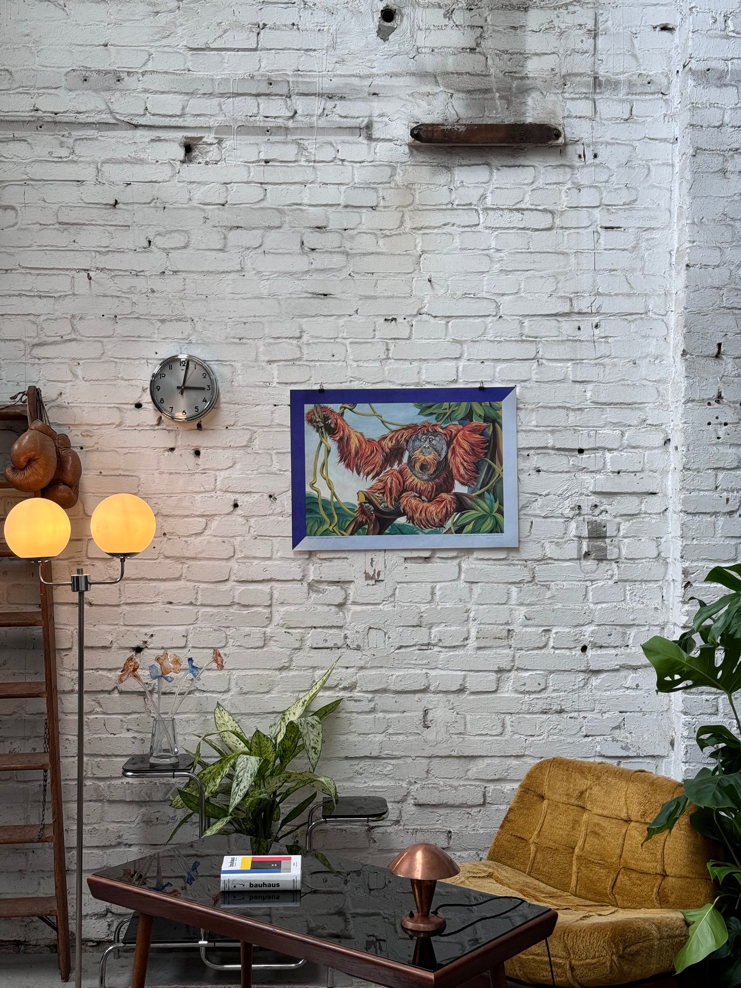 Tierparkposter Orang Utan | ca. 1980