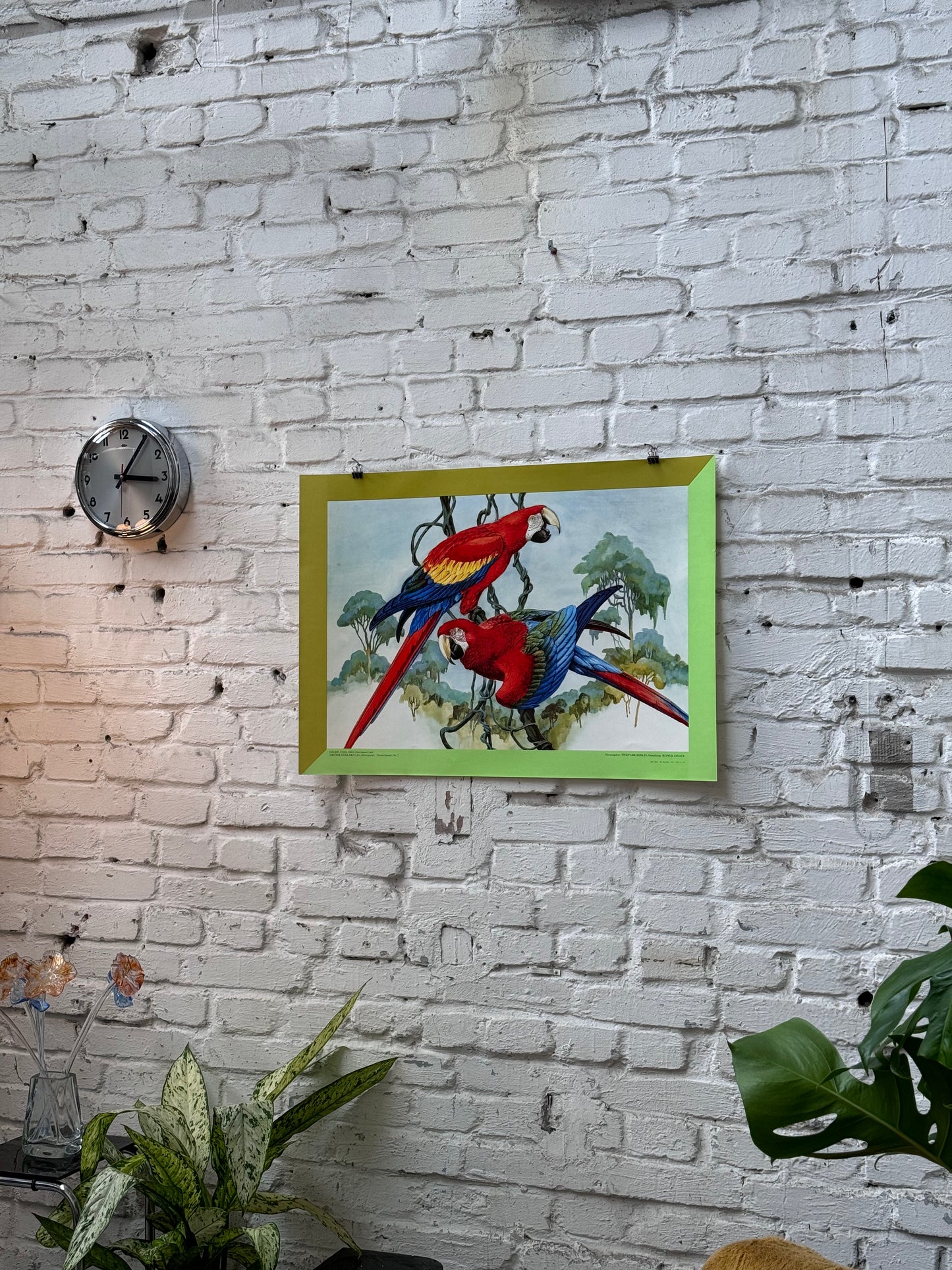 Tierparkposter Papagei Bunt | ca. 1985