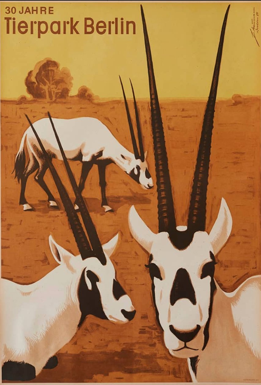 Tierparkposter Antilope | 1984 - postier