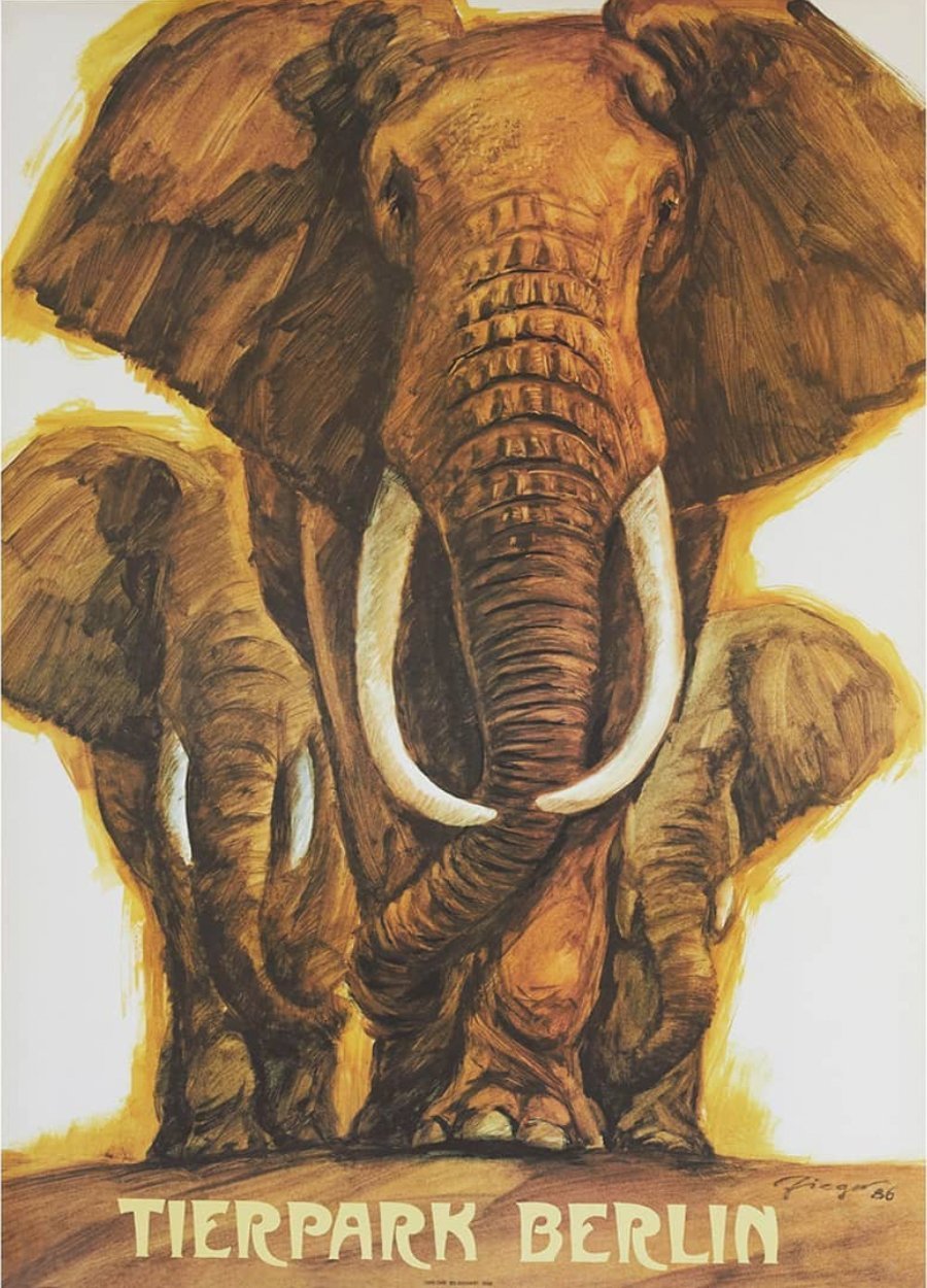 Tierparkposter Elefanten | 1986 - postier