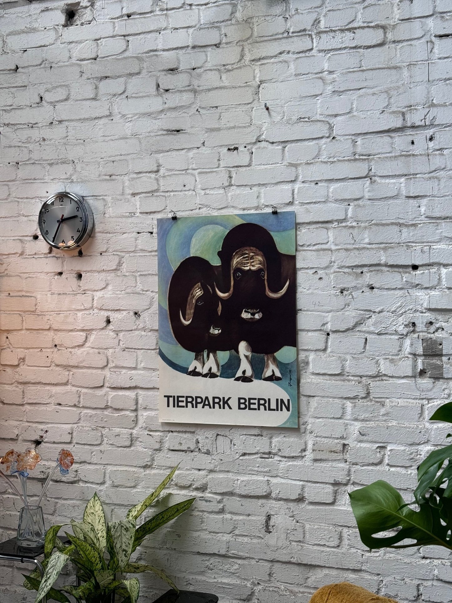 Tierparkposter Moschusochse | 1964 - postier