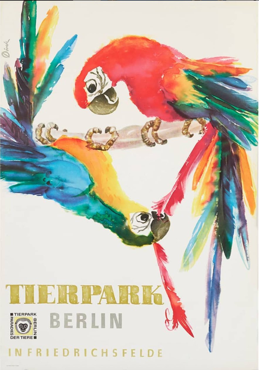 Tierparkposter Papagei | 1956 - postier