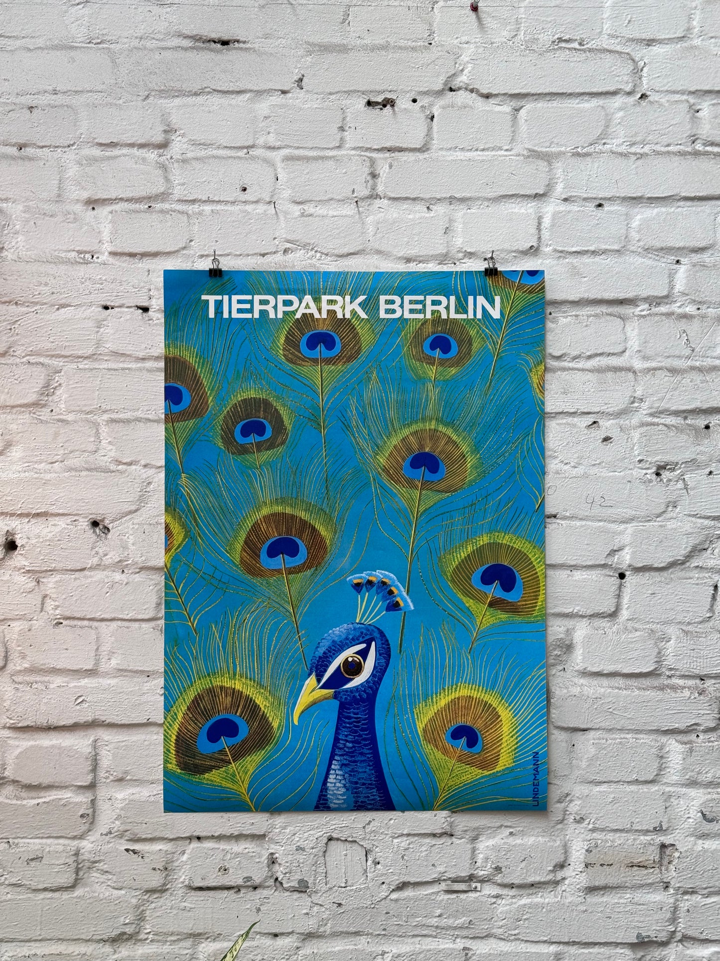 Tierparkposter Pfau | 1979