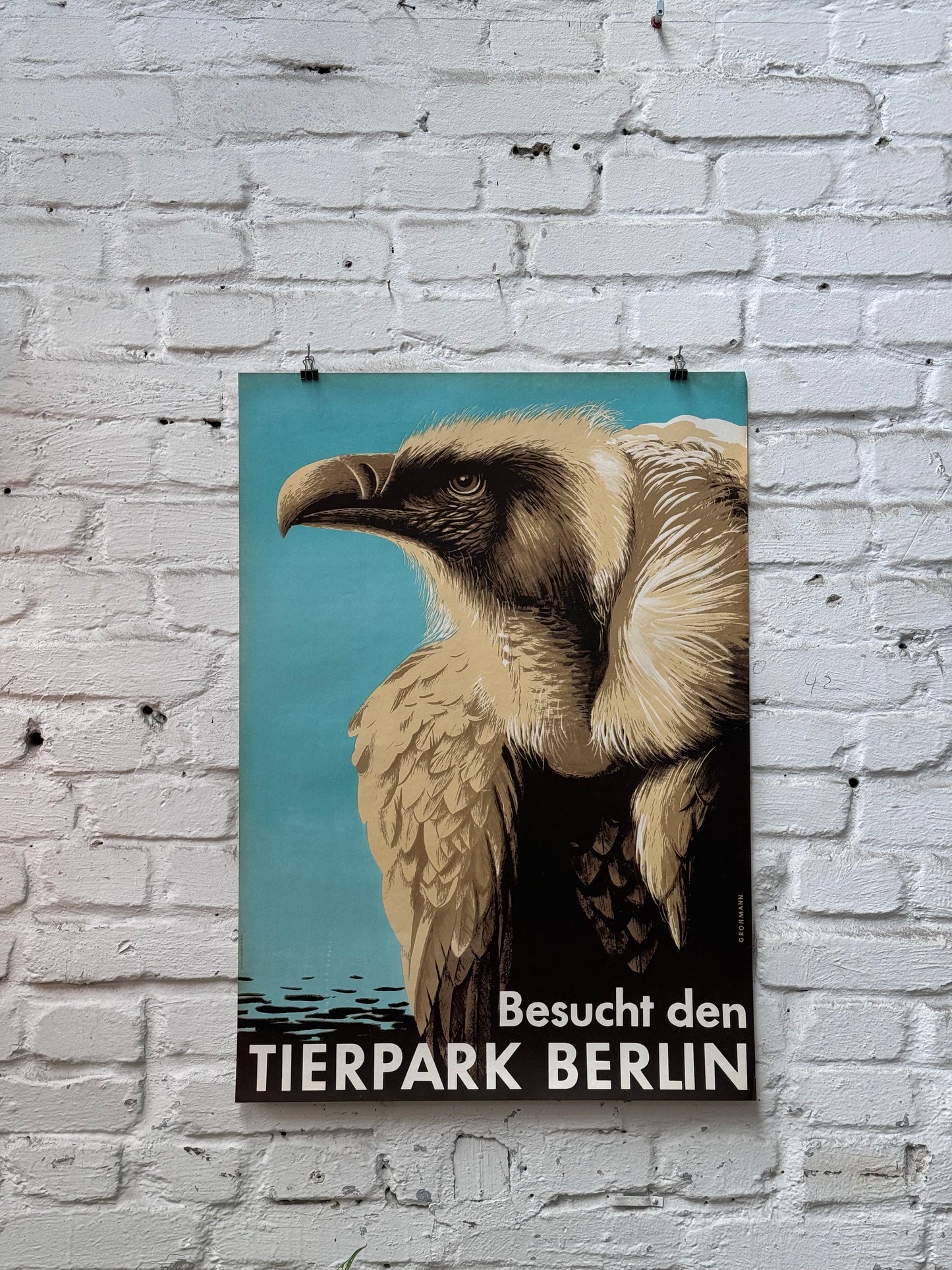 Tierparkposter Geier | 1956