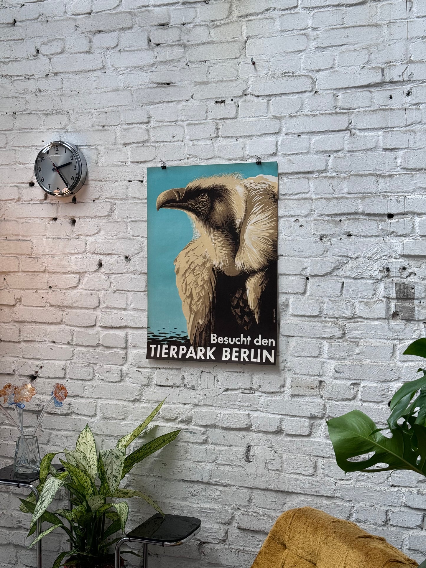 Tierparkposter Geier | 1956