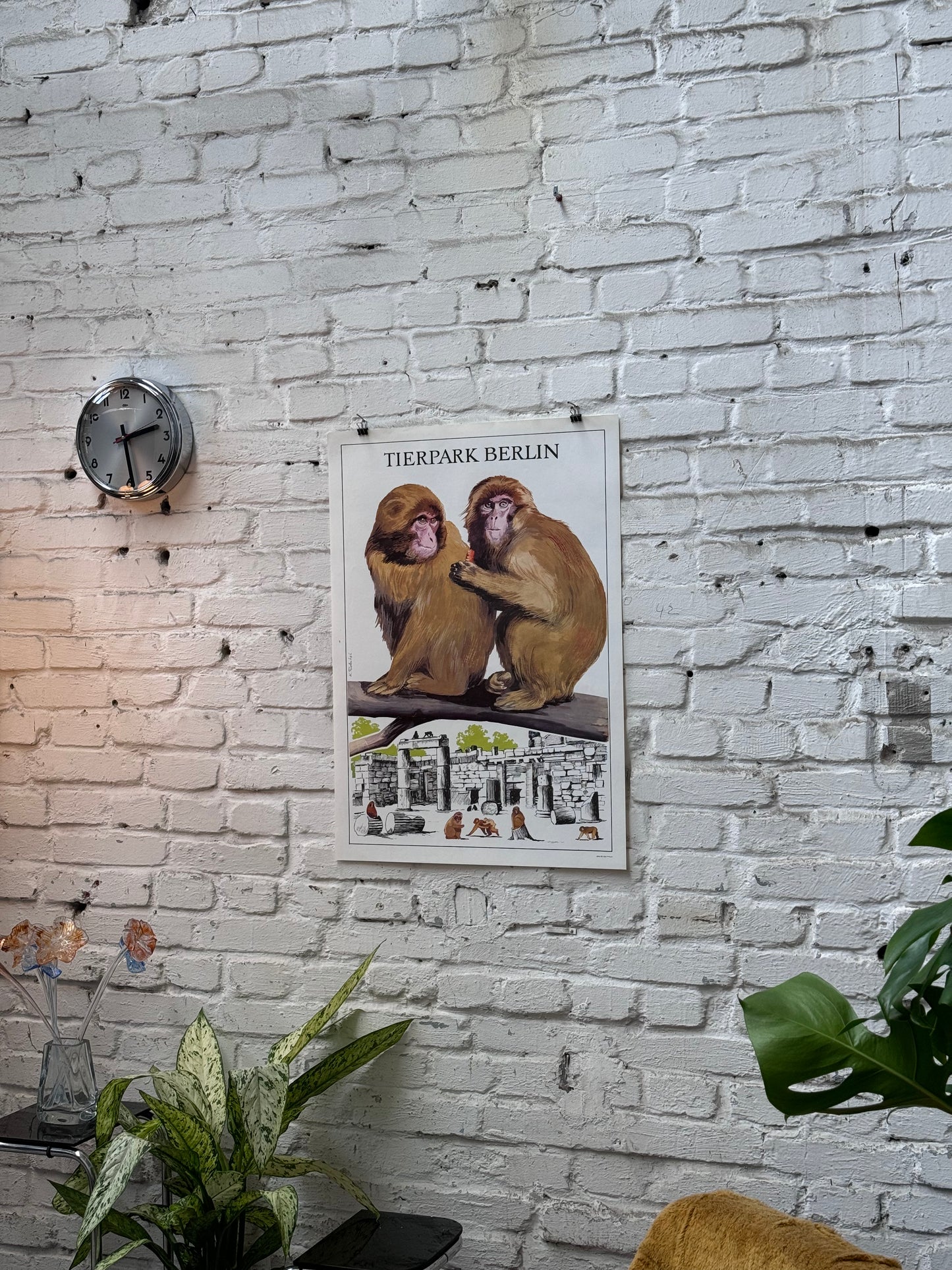 Tierparkposter Gibbons | 1970