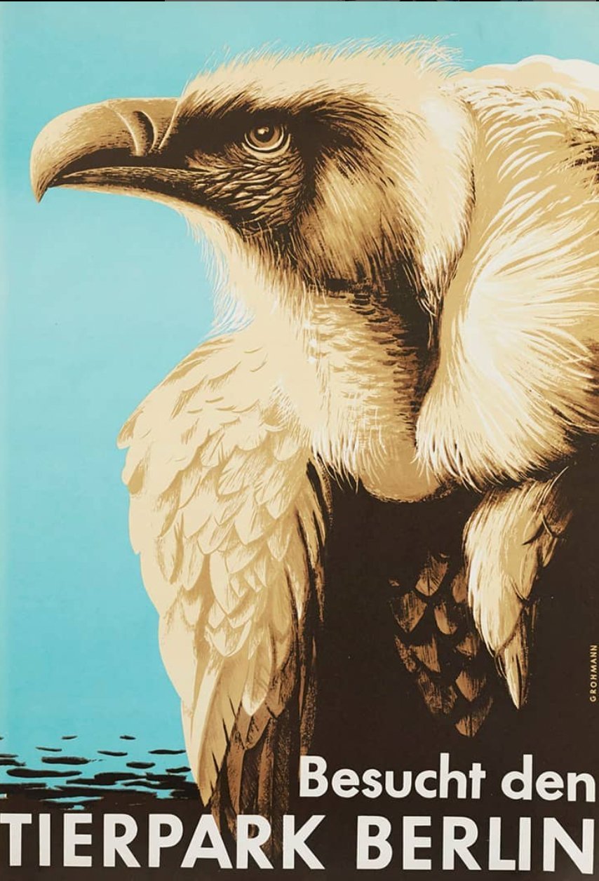 Tierparkposter Geier | 1956 - postier