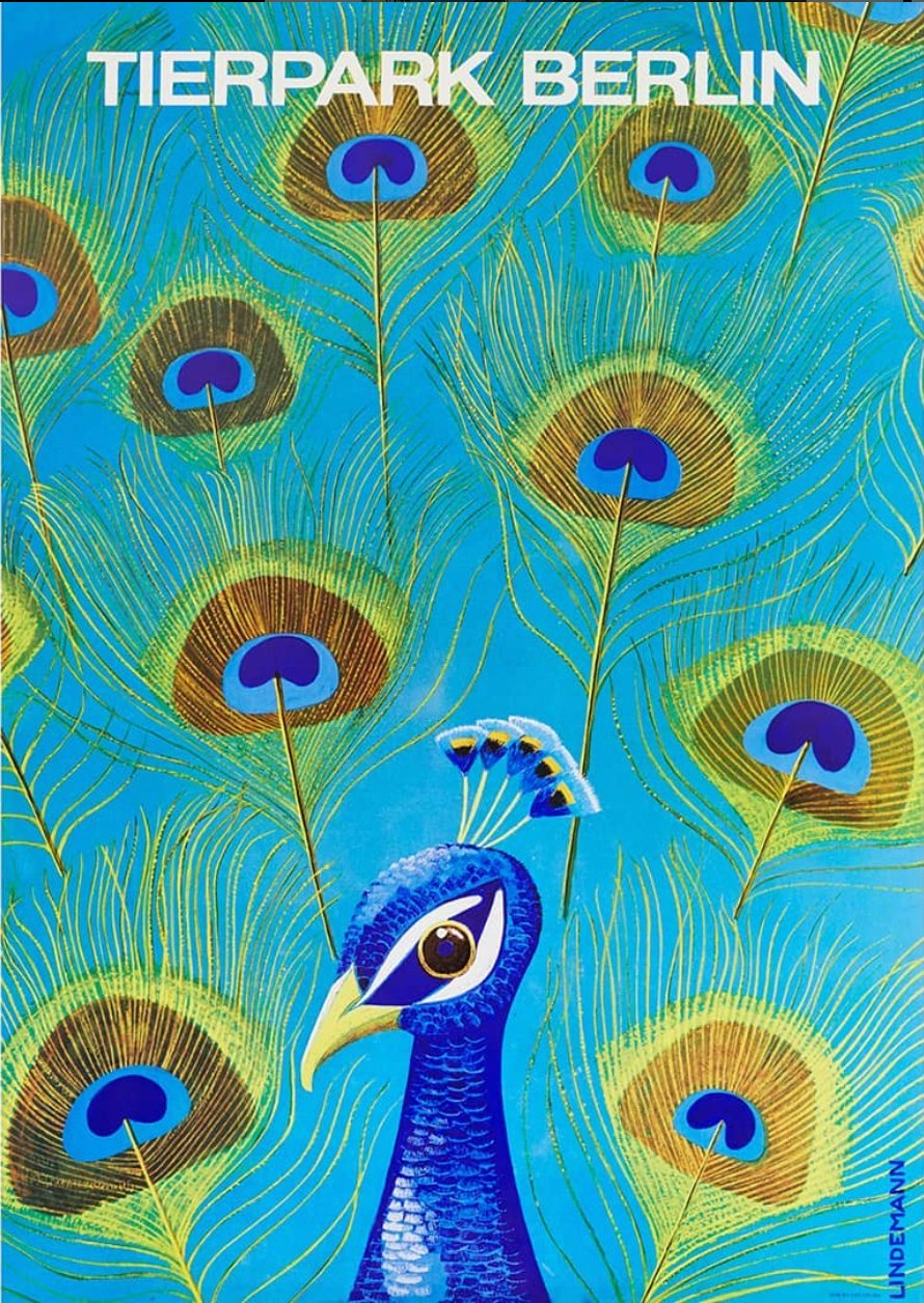 Tierparkposter Pfau | 1979 - postier